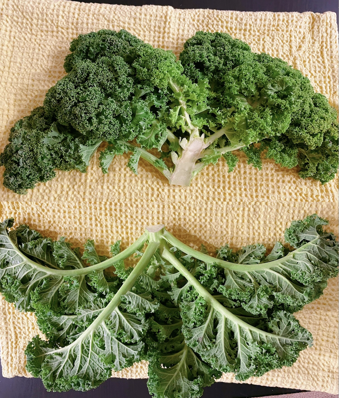 kale - image 1