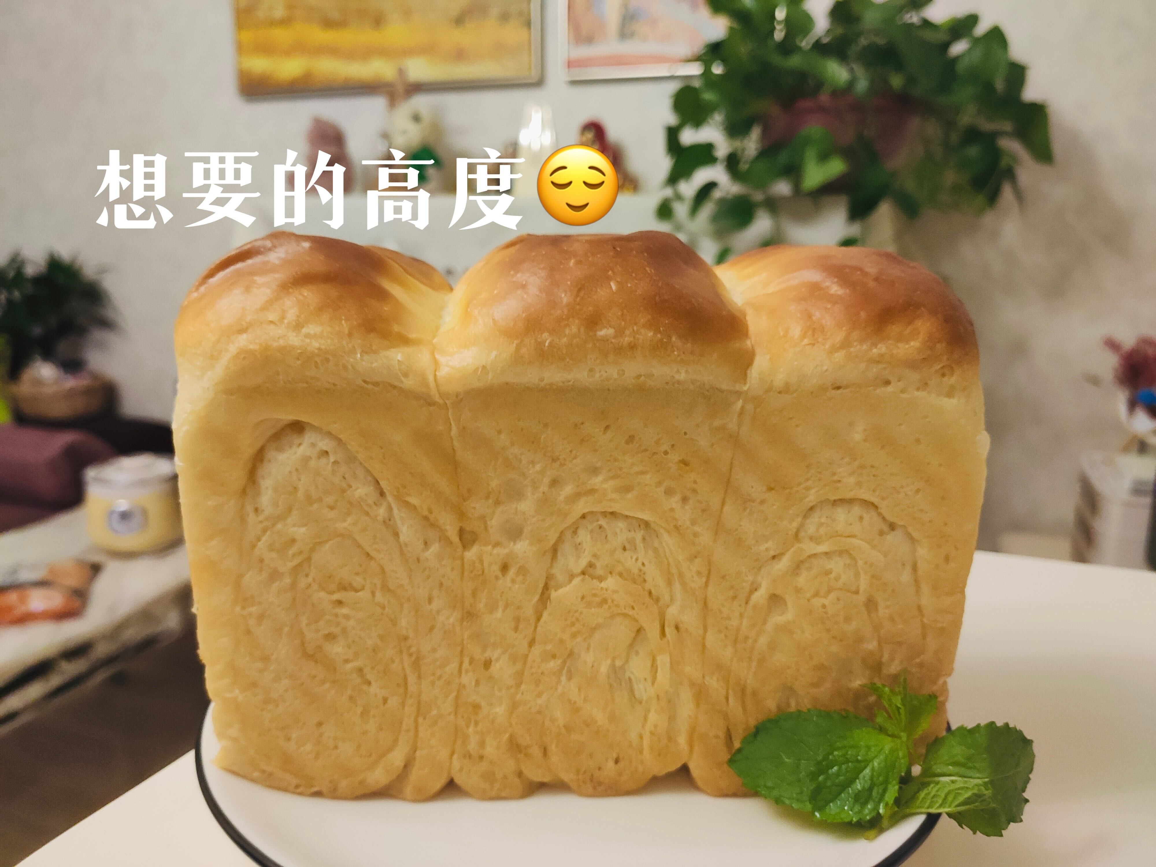 toast1 - image 1